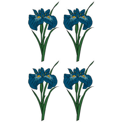 タトゥーシール 花菖蒲 タトゥーシール 花菖蒲