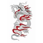 �^�g�D�[�V�[���@�Ή���(�^�g�D�[�E�h�V�[��)