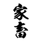 �^�g�D�[�V�[���@�ƒ{�i���c�����j�@���T�C�Y(�^�g�D�[�E�h�V�[��)