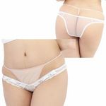 �ɔ����[�X�h�J���[���C�Y�ɏ��n�[�t�o�b�N�@�i�z���C�g�j(�����W�F���[)