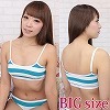 �ް�ް��߰���ׁi���ܽ����ׁj�@BIG